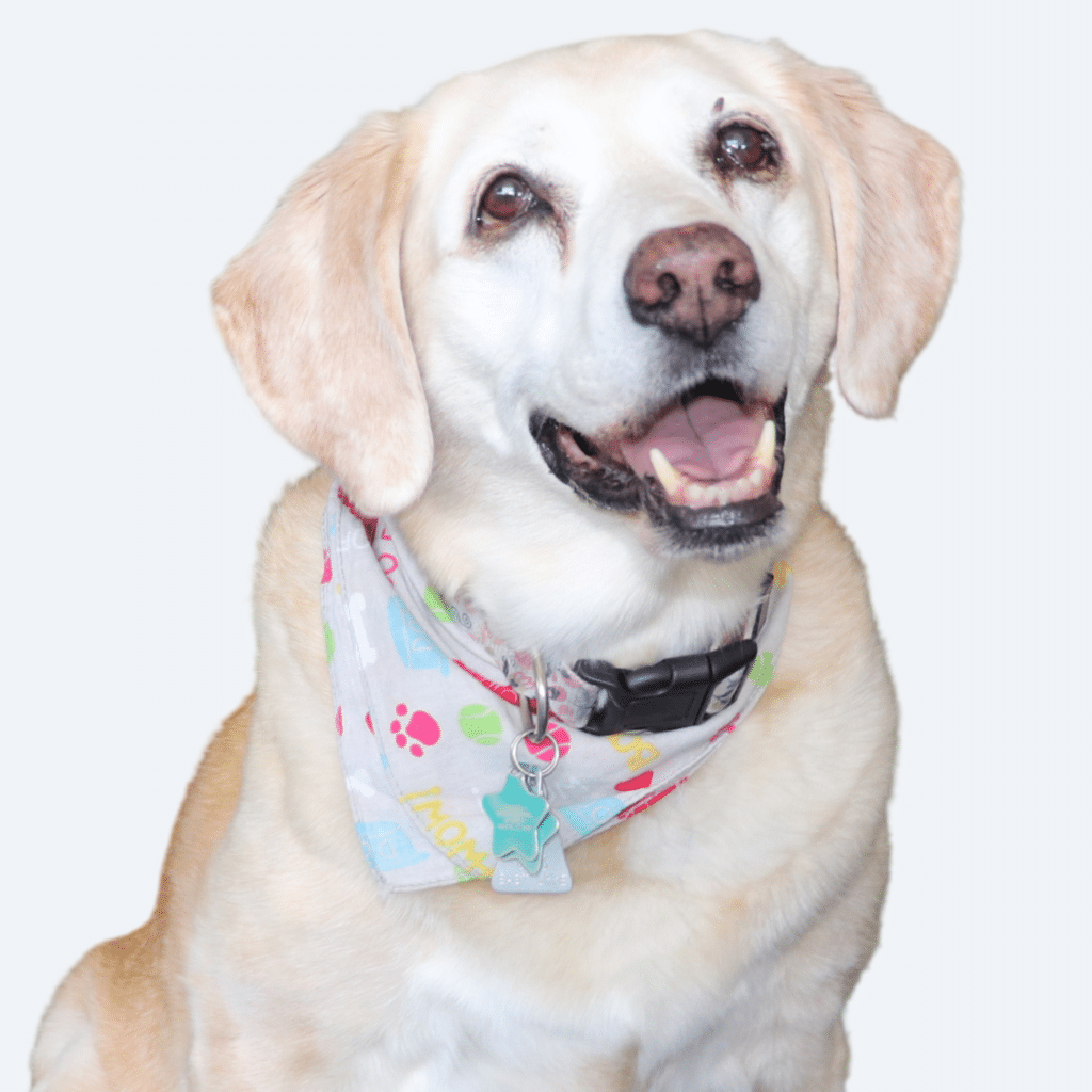 Scout Cantwell Headshot