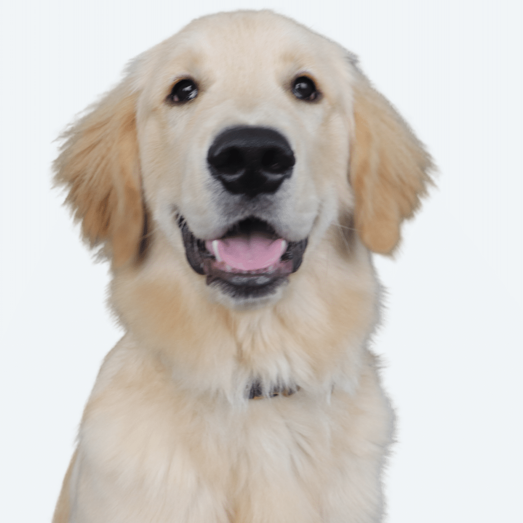 Tucker Headshot