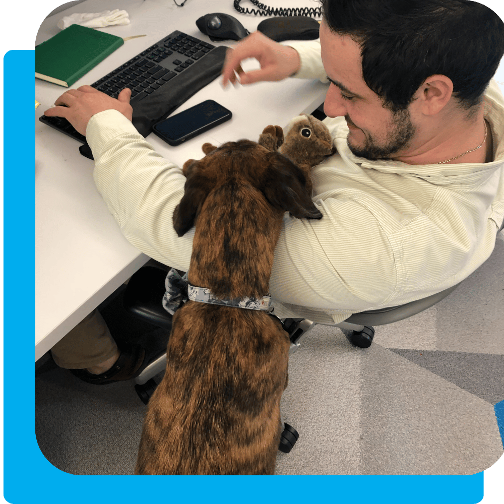 Internal Vulnerability Assessment Charles It